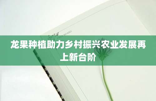龙果种植助力乡村振兴农业发展再上新台阶