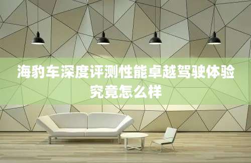 海豹车深度评测性能卓越驾驶体验究竟怎么样