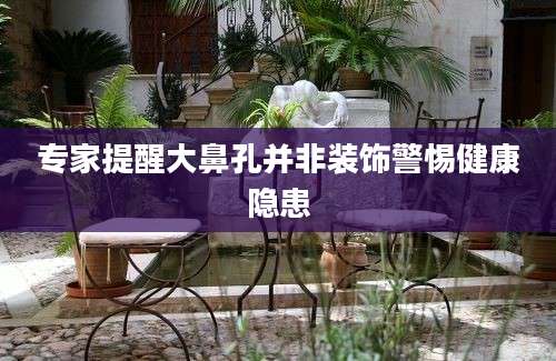 专家提醒大鼻孔并非装饰警惕健康隐患