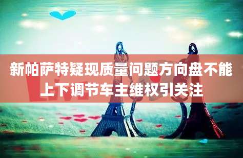 新帕萨特疑现质量问题方向盘不能上下调节车主维权引关注