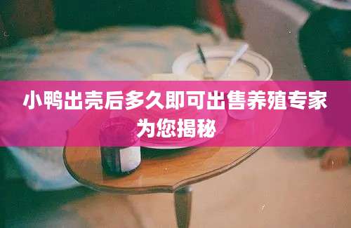 小鸭出壳后多久即可出售养殖专家为您揭秘