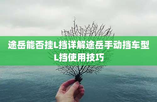 途岳能否挂L挡详解途岳手动挡车型L挡使用技巧