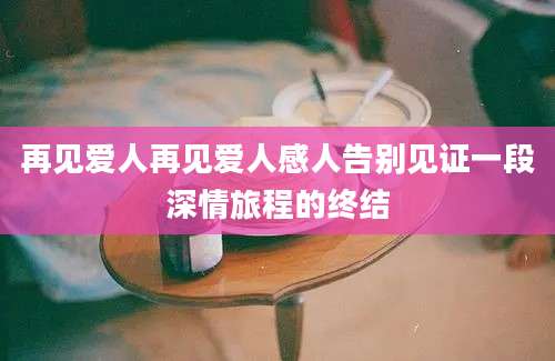 再见爱人再见爱人感人告别见证一段深情旅程的终结