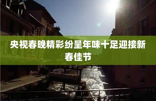 央视春晚精彩纷呈年味十足迎接新春佳节