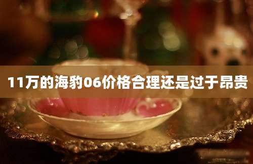 11万的海豹06价格合理还是过于昂贵