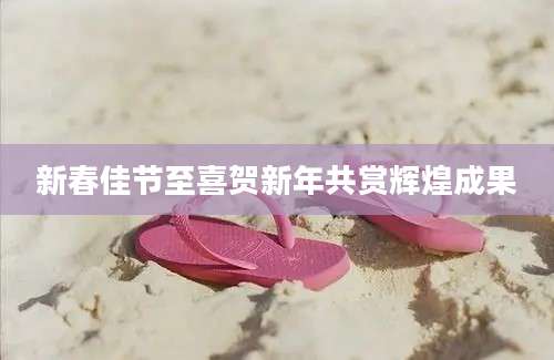 新春佳节至喜贺新年共赏辉煌成果