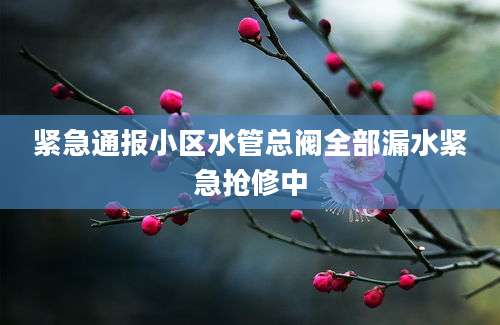 紧急通报小区水管总阀全部漏水紧急抢修中