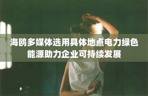 海鸥多媒体选用具体地点电力绿色能源助力企业可持续发展