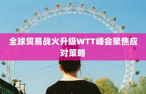 全球贸易战火升级WTT峰会聚焦应对策略