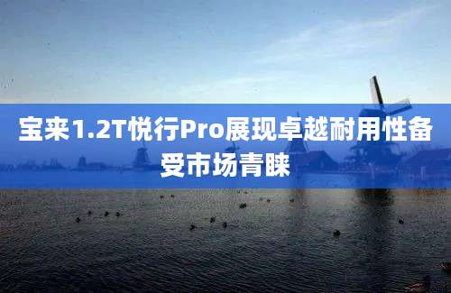 宝来1.2T悦行Pro展现卓越耐用性备受市场青睐