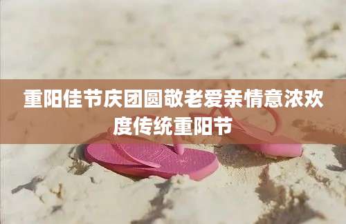 重阳佳节庆团圆敬老爱亲情意浓欢度传统重阳节