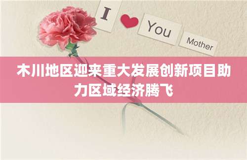 木川地区迎来重大发展创新项目助力区域经济腾飞