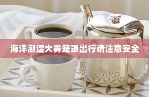 海洋潮湿大雾笼罩出行请注意安全
