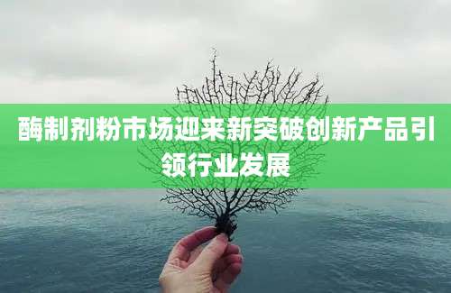 酶制剂粉市场迎来新突破创新产品引领行业发展