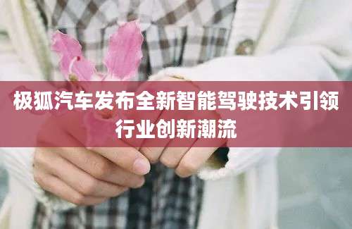 极狐汽车发布全新智能驾驶技术引领行业创新潮流