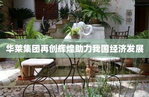华莱集团再创辉煌助力我国经济发展