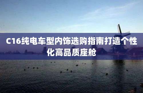 C16纯电车型内饰选购指南打造个性化高品质座舱