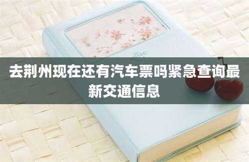 去荆州现在还有汽车票吗紧急查询最新交通信息