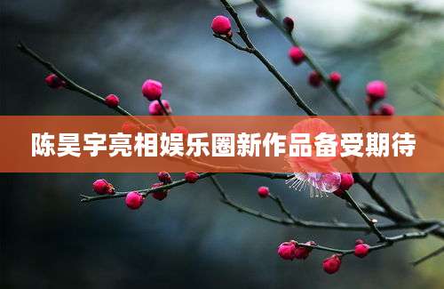 陈昊宇亮相娱乐圈新作品备受期待
