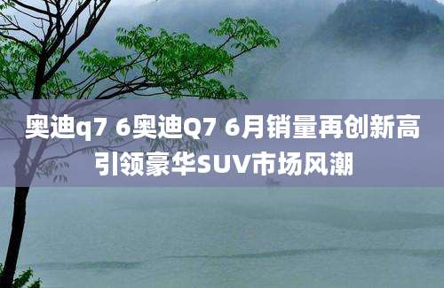 奥迪q7 6奥迪Q7 6月销量再创新高引领豪华SUV市场风潮
