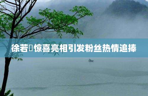 徐若瑄惊喜亮相引发粉丝热情追捧