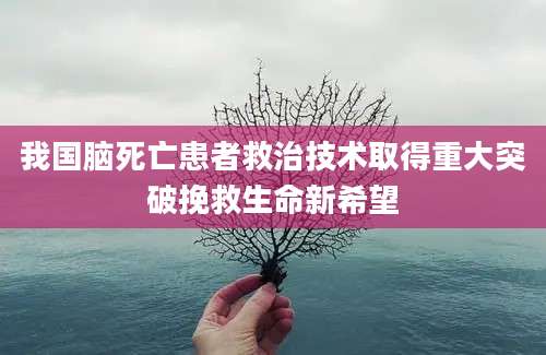 我国脑死亡患者救治技术取得重大突破挽救生命新希望
