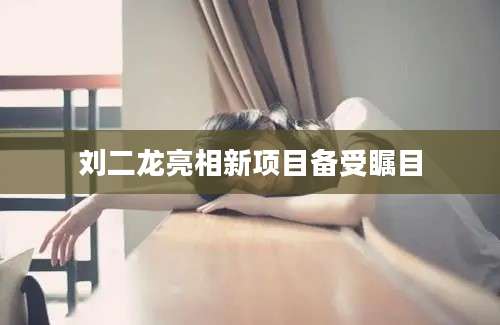 刘二龙亮相新项目备受瞩目