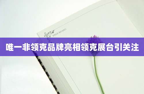 唯一非领克品牌亮相领克展台引关注