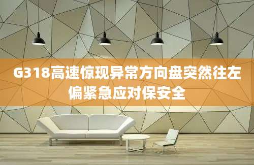 G318高速惊现异常方向盘突然往左偏紧急应对保安全