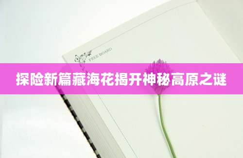 探险新篇藏海花揭开神秘高原之谜
