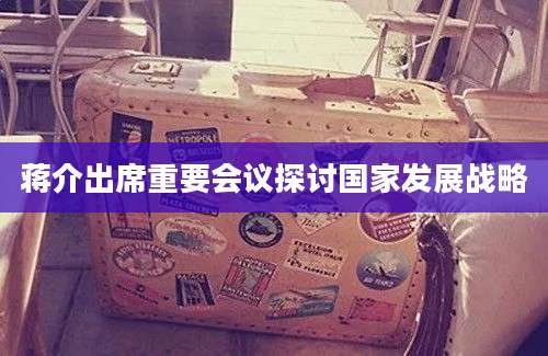 蒋介出席重要会议探讨国家发展战略