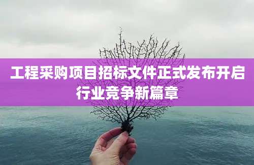 工程采购项目招标文件正式发布开启行业竞争新篇章