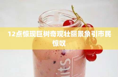 12点惊现巨树奇观壮丽景象引市民惊叹