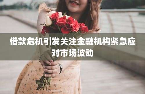 借款危机引发关注金融机构紧急应对市场波动
