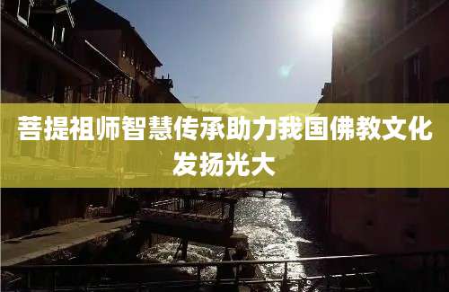 菩提祖师智慧传承助力我国佛教文化发扬光大