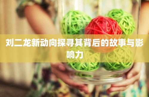 刘二龙新动向探寻其背后的故事与影响力