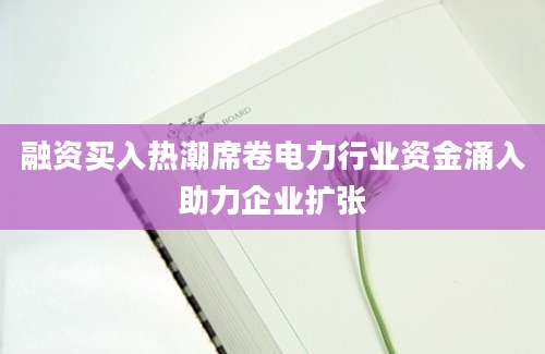 融资买入热潮席卷电力行业资金涌入助力企业扩张