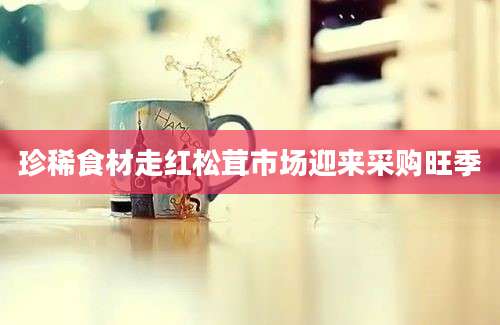 珍稀食材走红松茸市场迎来采购旺季