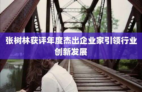张树林获评年度杰出企业家引领行业创新发展