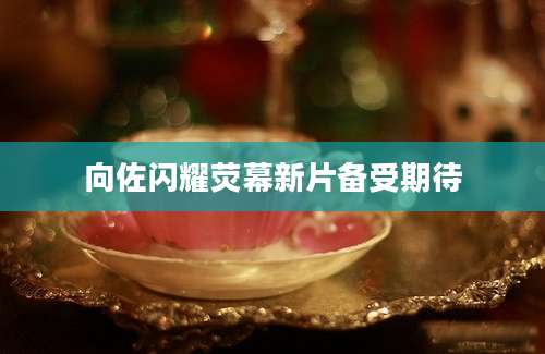 向佐闪耀荧幕新片备受期待