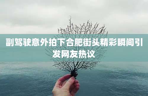 副驾驶意外拍下合肥街头精彩瞬间引发网友热议