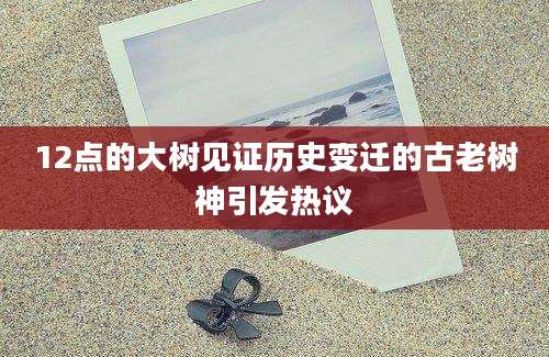 12点的大树见证历史变迁的古老树神引发热议