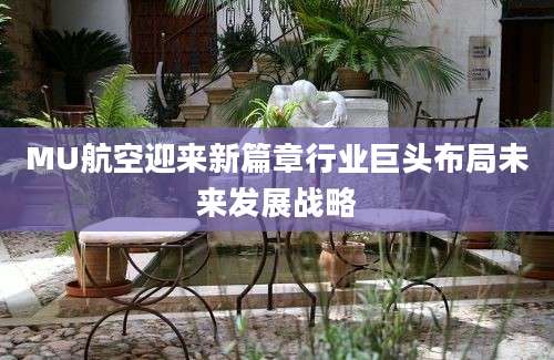 MU航空迎来新篇章行业巨头布局未来发展战略