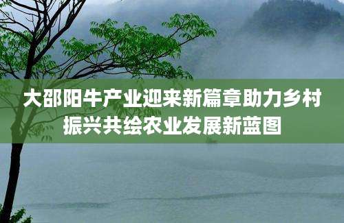 大邵阳牛产业迎来新篇章助力乡村振兴共绘农业发展新蓝图