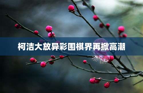 柯洁大放异彩围棋界再掀高潮