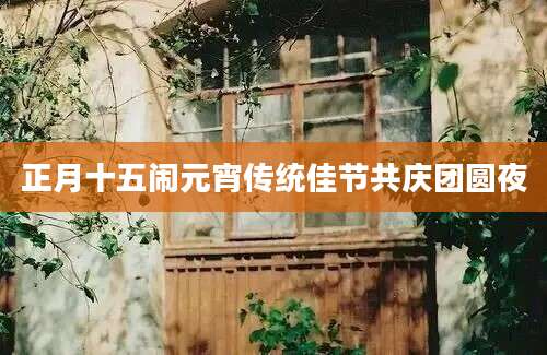正月十五闹元宵传统佳节共庆团圆夜