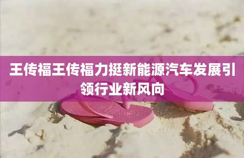 王传福王传福力挺新能源汽车发展引领行业新风向