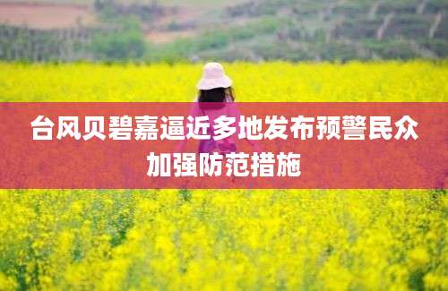 台风贝碧嘉逼近多地发布预警民众加强防范措施