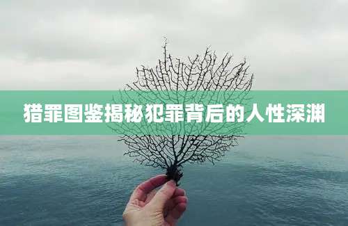 猎罪图鉴揭秘犯罪背后的人性深渊
