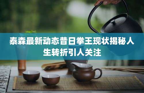 泰森最新动态昔日拳王现状揭秘人生转折引人关注